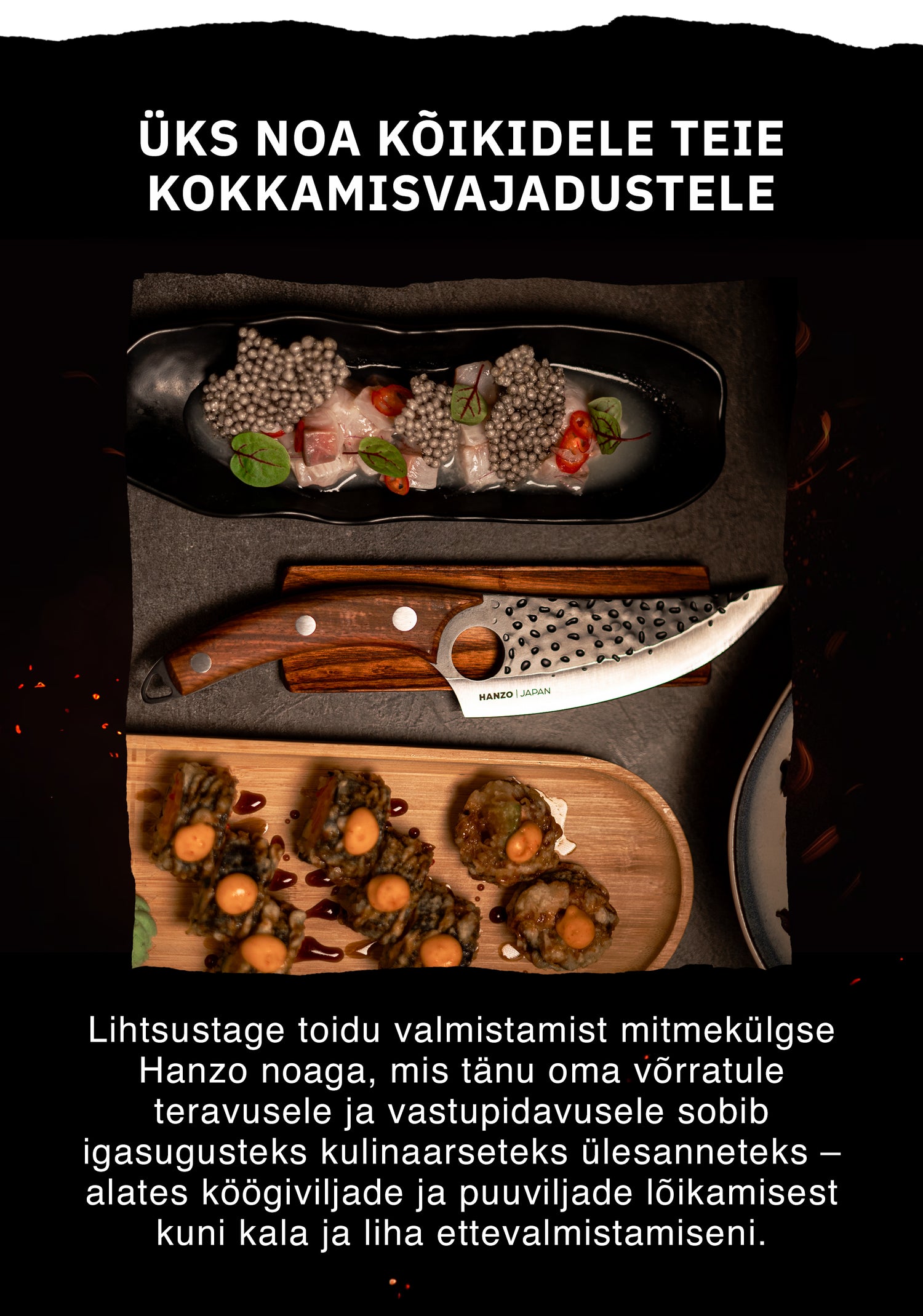 Vienas peilis visiems kulinariniams poreikiams