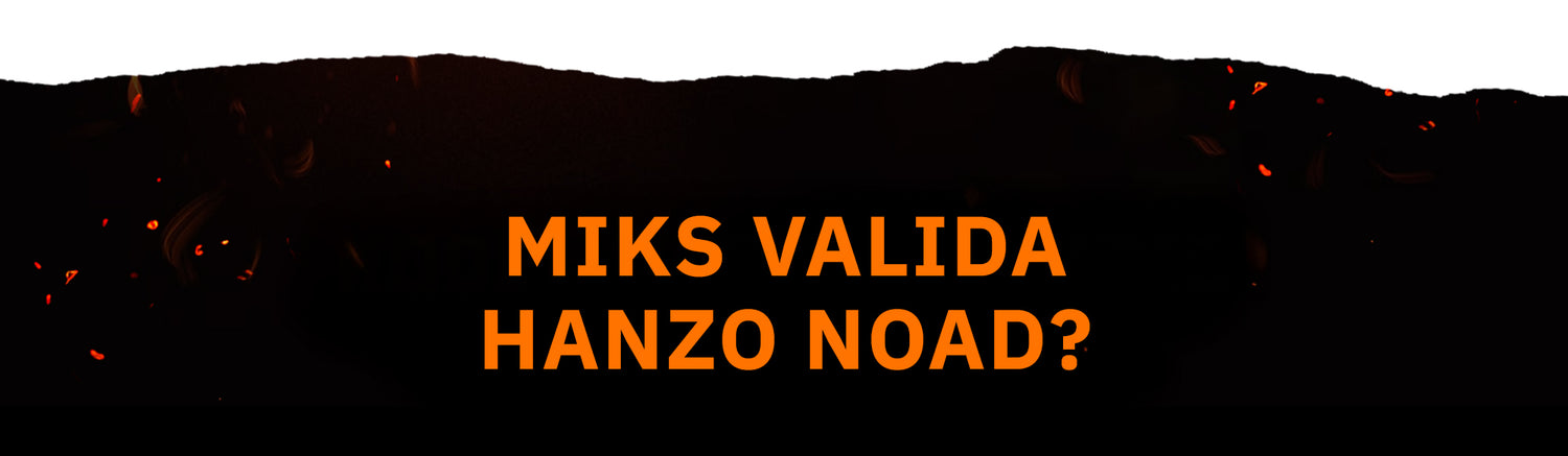 Kodėl verta rinktis Hanzo peilius