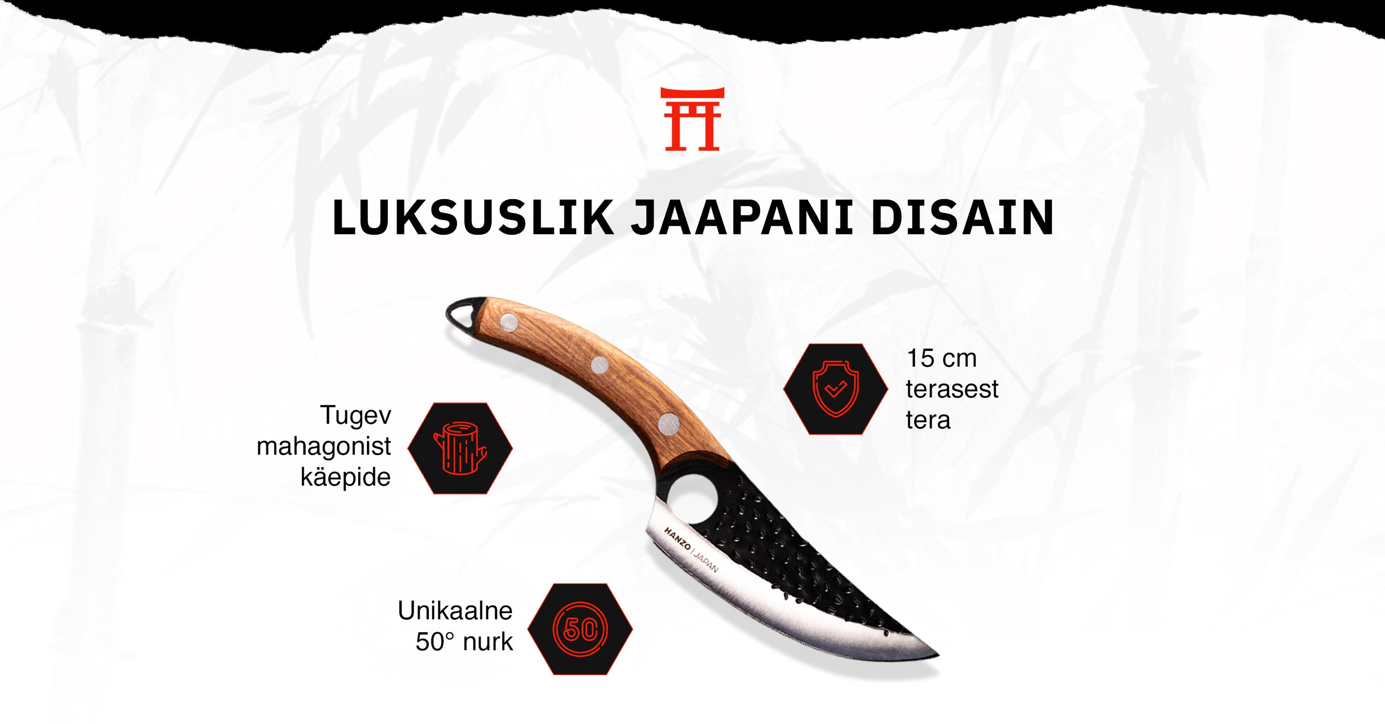 Prabangus japoniškas dizainas